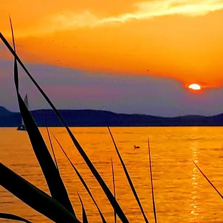 アパート Magdalena Haz *